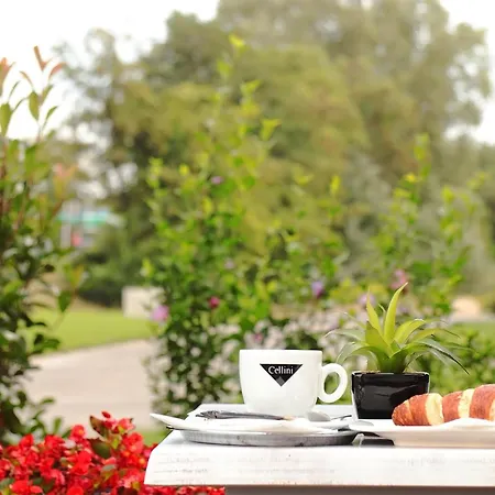 Top Hotel Vertesszolos